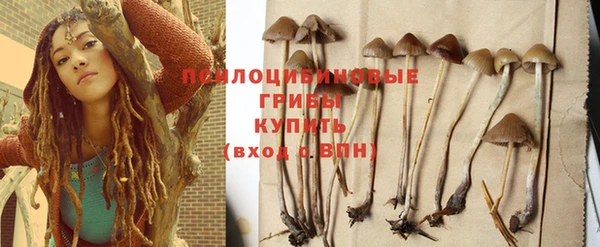 прущий лед Алзамай
