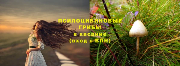 прущий лед Алзамай