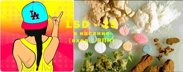 PSILOCYBIN Алексин