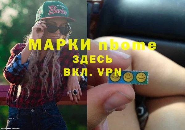 прущий лед Алзамай